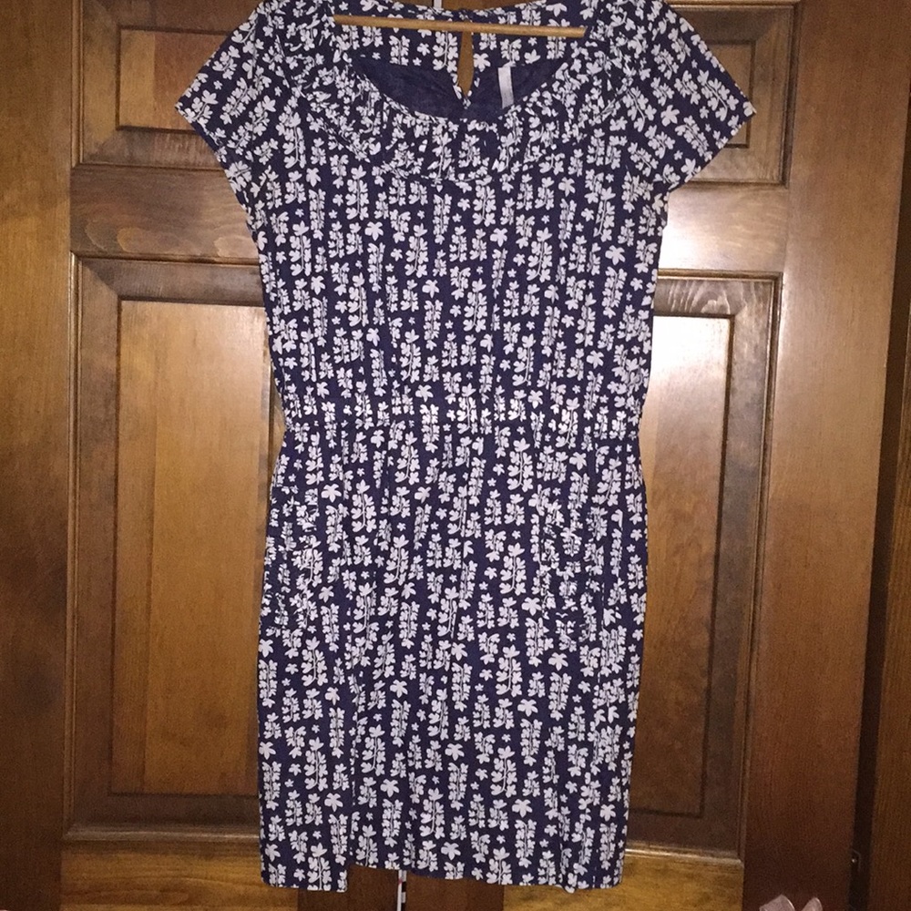 Blue and White Dress